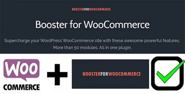 Booster Plus for WooCommerce v8.0.2