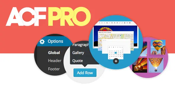 Advanced Custom Fields Pro v6.8.2