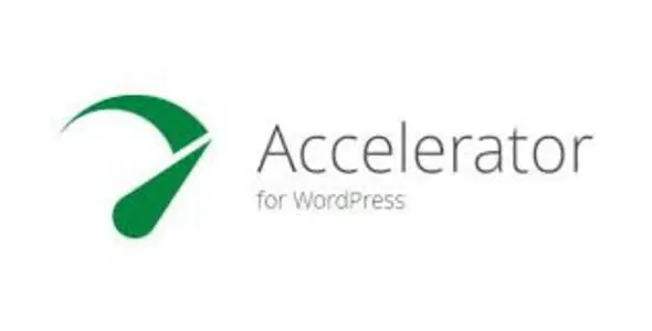 Seraphinite Accelerator v2.29.2
