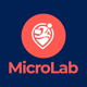 MicroLab - Micro Job Freelancing Platform v3.0